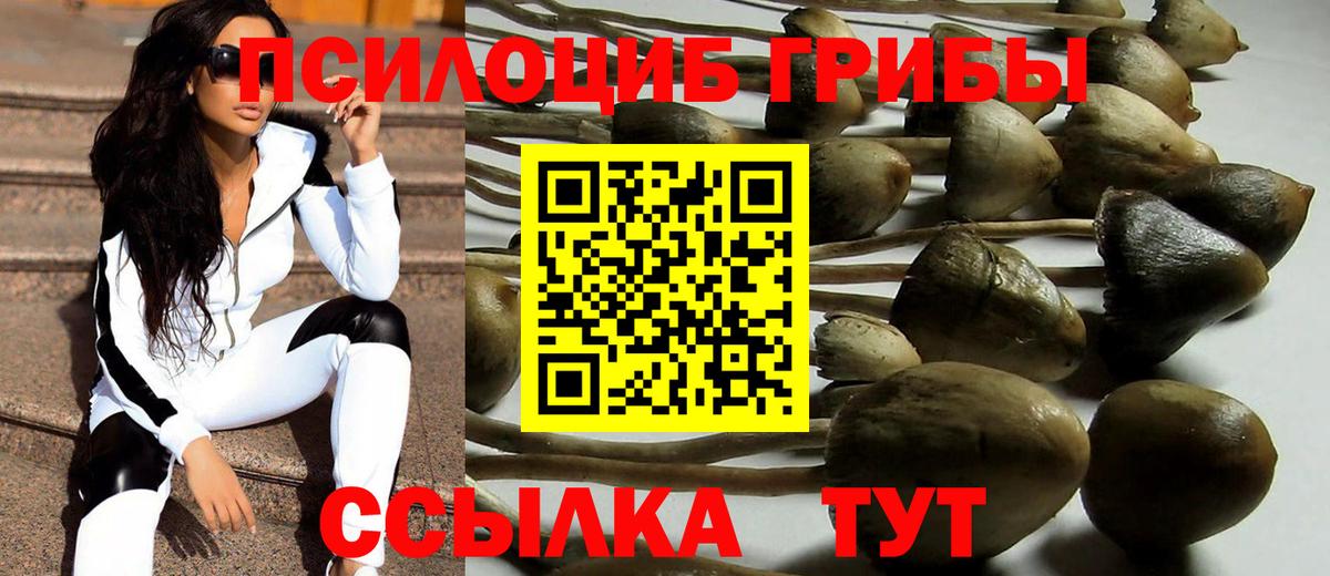 Бийск  Галлюциногенные грибы прущие грибы  Псилоцибиновые грибы MAGIC MUSHROOMS  Вход с VPN 